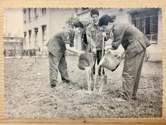 入学后植树美化校园